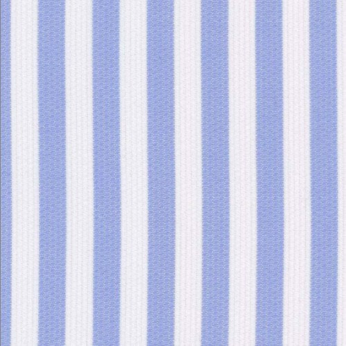 Blue Awning Stripe fabric swatch