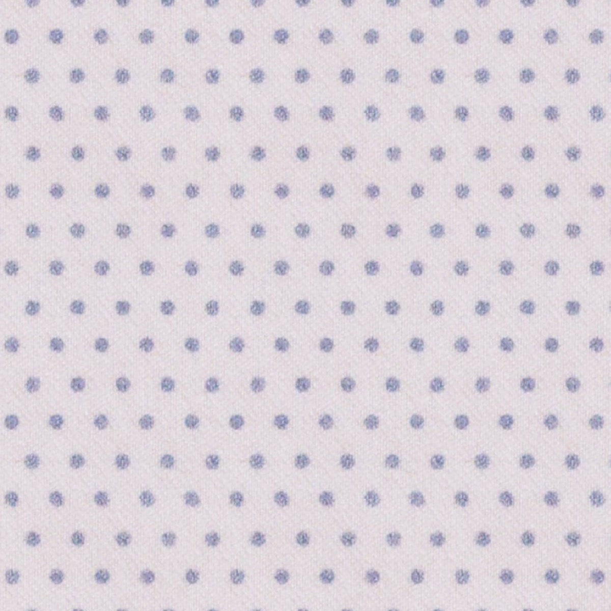 Sky Blue Dot fabric swatch