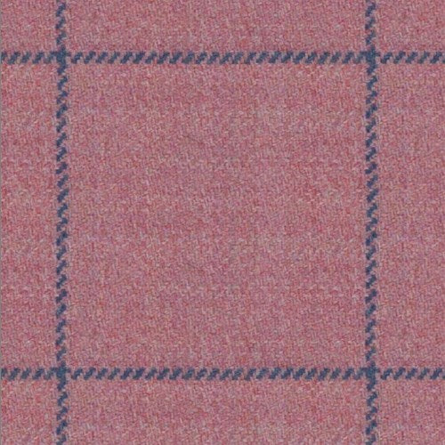 The Catalyst — Pink Blue Windowpane fabric swatch